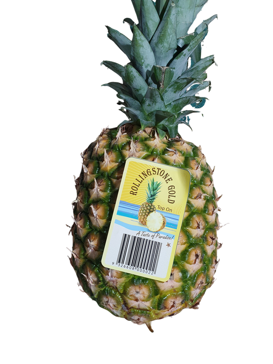Pineapple, ( XL)
