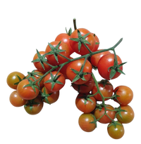 Tomato- Cherry Truss (1kg)