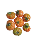 Tomatoes -  Adelaide (1kg)