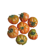 Tomatoes -  Adelaide (1kg)