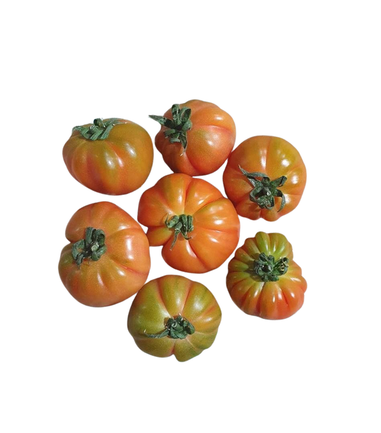 Tomatoes -  Adelaide (1kg)