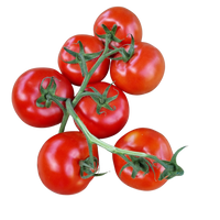 Tomatoes, Truss (1KG)