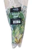 Vietnamese mint