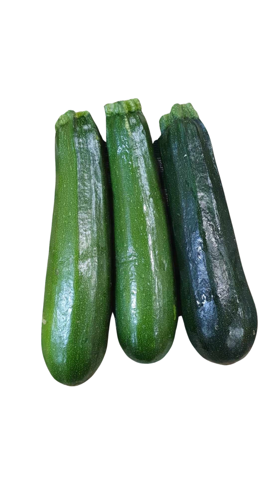 Zucchini, (each) Medium
