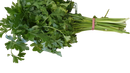 parsley- Flat