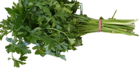parsley- Flat