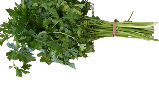 parsley- Flat