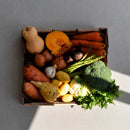 Roast Veggie Box - Medium